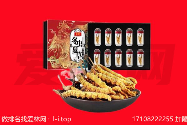 青岛市莱西回收虫草.jpg